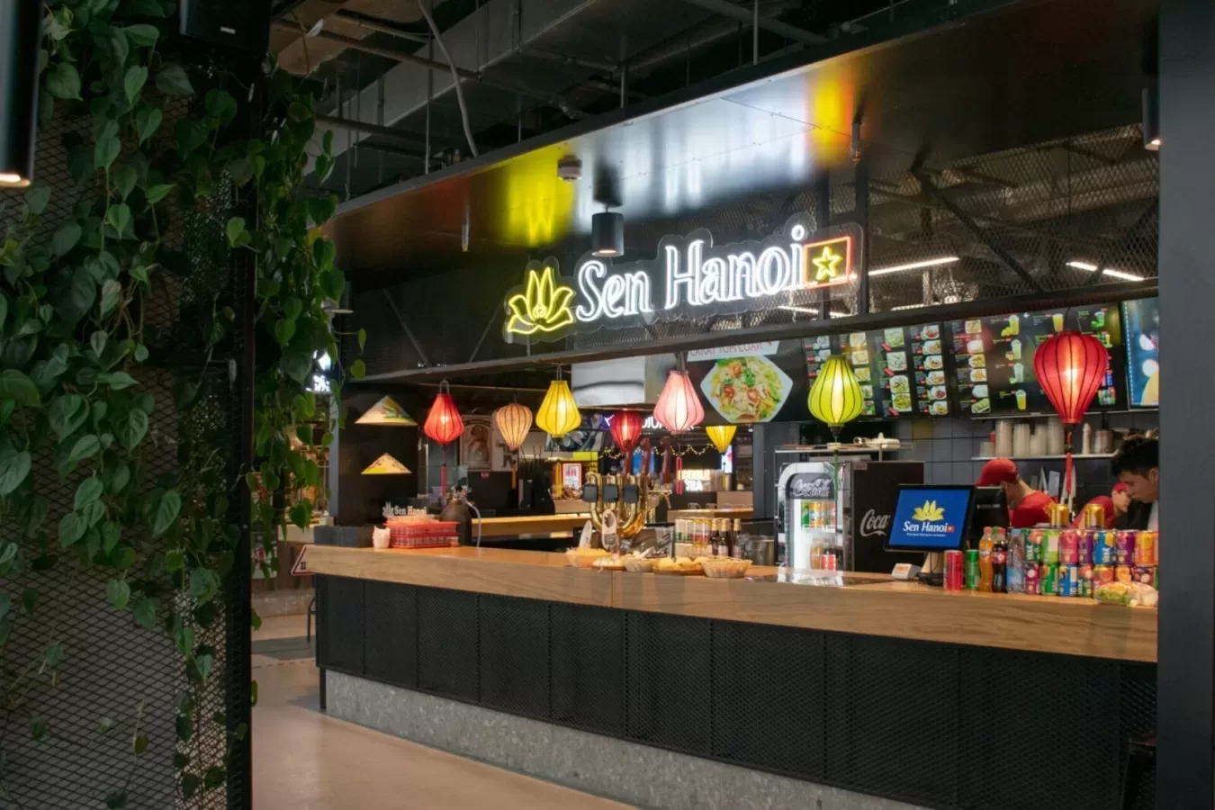 Sen Hanoi — Вьетнамская